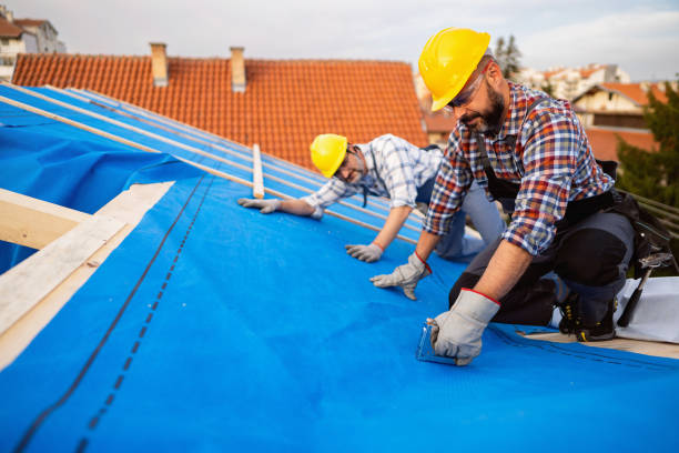 Best Rubber Roofing (EPDM, TPO)  in Yorkvle, IL
