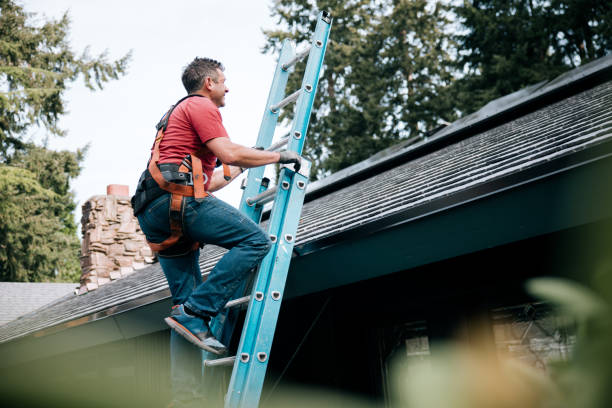Best Asphalt Shingle Roofing  in Yorkvle, IL
